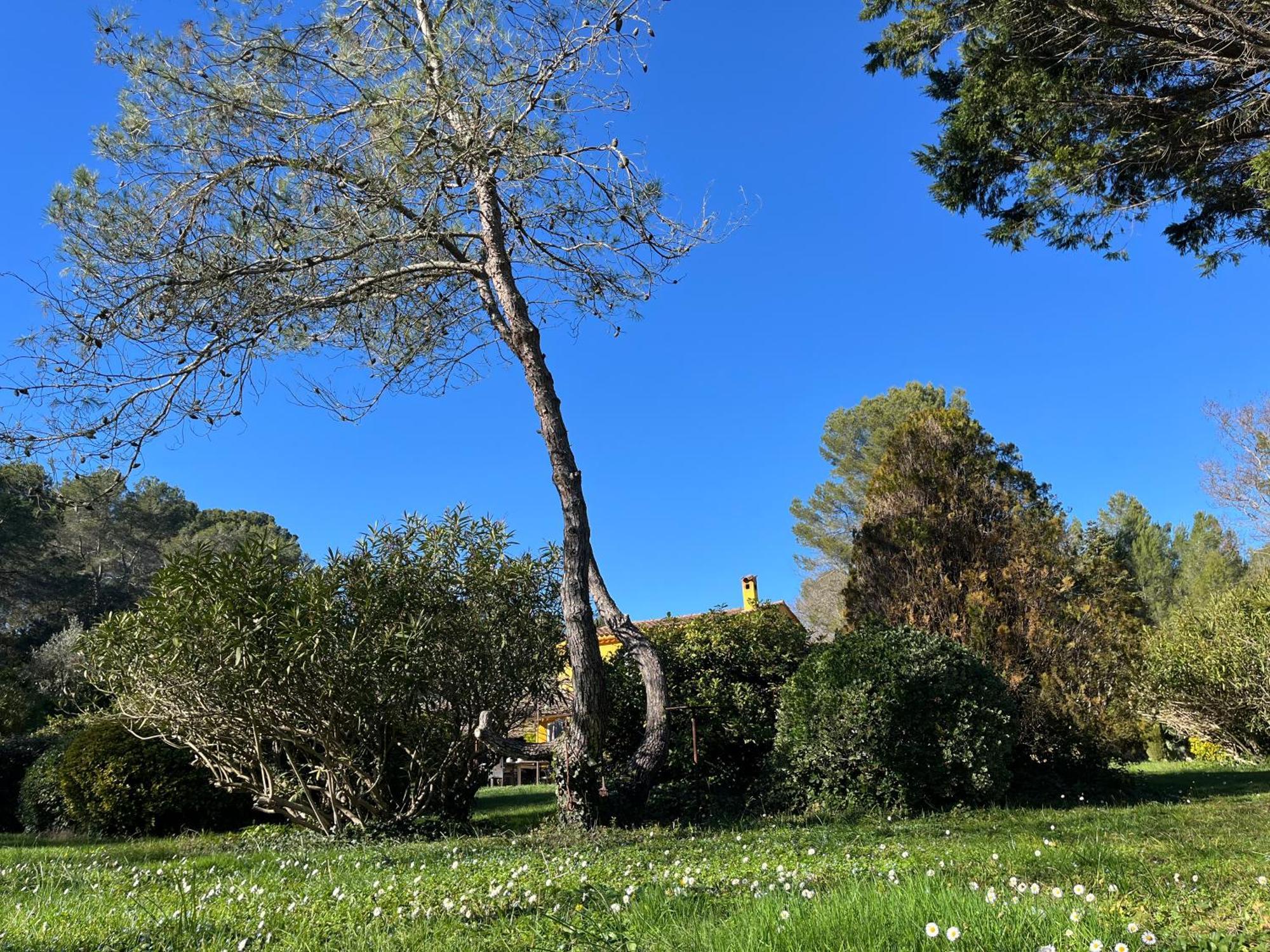 Villa De Miha Valbonne Εξωτερικό φωτογραφία
